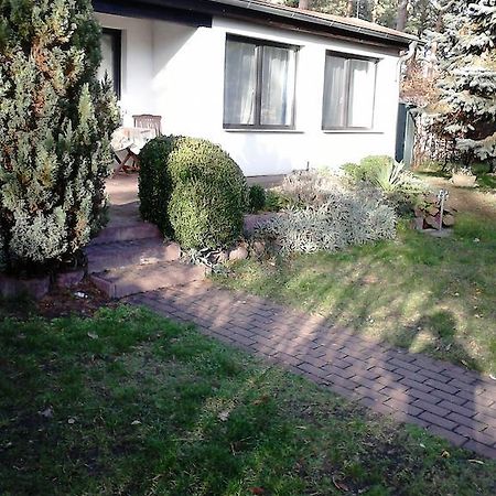 Ferienhaus Pauline Am See Mullrose Bilik gambar